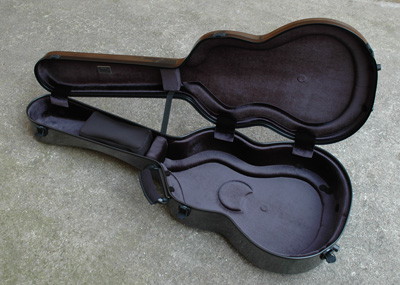 BAM guitar case